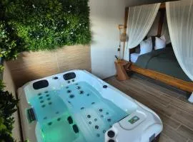 Le Cocoon - Jacuzzi, Sauna et Piscine privée