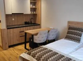 Apartman C437 Aparthotel Vucko Jahorina privatni apartman