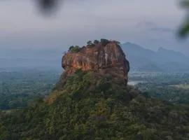 Elephant Trio Sigiriya