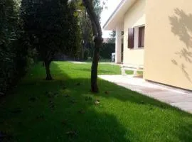 Faggio 15a