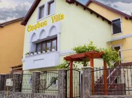Cosbuc Residence & Villa