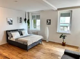Modernes, renoviertes Apartment nähe dem Zentrum kostenloses Parken