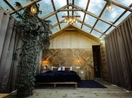 Glass Tree House Sainj