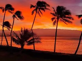 Maalaea Banyans 411