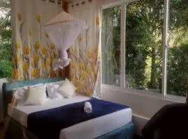 Summer villa Ambagolla