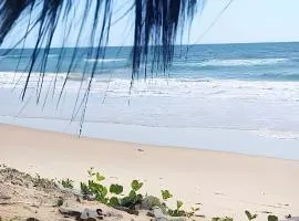 Licuri Praia de Algodões à poucos passos do mar.