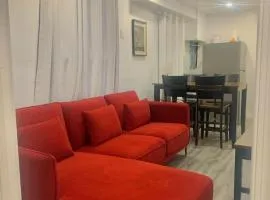 Cozy 2BR1BA apt in SilverSpeing
