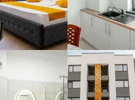 Corso Studio 1