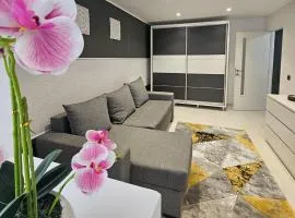 Apartament Zarnesti VMP Free Parking