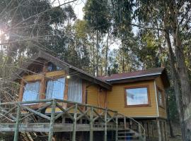 Cabañas Refugio el Ermitaño C4, hotel en Angol