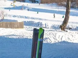 Koselig leilighet med Ski Bike in and out Nr 34