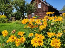 Olęderska Zagroda Pracownia Boruja, hotel in Boruja