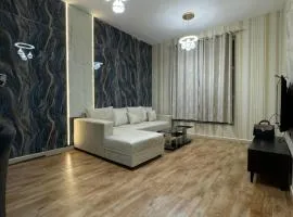 City Tower 2BHK newly renovated 10 feb 2025