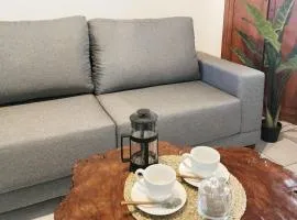 Dúplex céntrico en capital