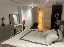 Penthouse in Miami to share