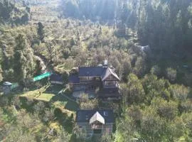 Shantchit yoga and wellness