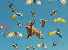 Performance PEGA test hotel Zambia, Hotel in Lusaka