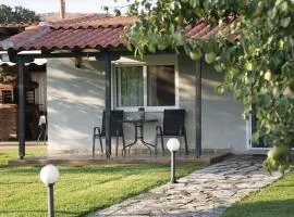 Green Yard House
