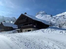 Chalet confortable au Praz de Lys - 4 chambres - FR-1-815-2
