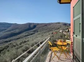 Il nido tra gli ulivi