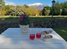 Nero Etna