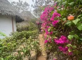 Red Sunshine Villa B&B
