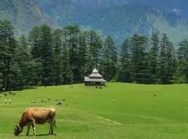 Holiday Home shangharh