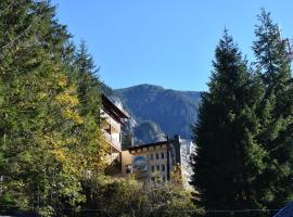 Balea Teleferic, Bed & Breakfast in Cîrţişoara