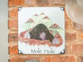 Mole Hole