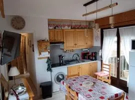 Appartement cosy proche pistes ski avec garage - FR-1-498-112