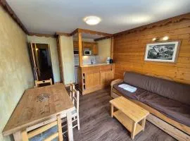 Studio lumineux, pied des pistes, animaux admis - FR-1-811-27