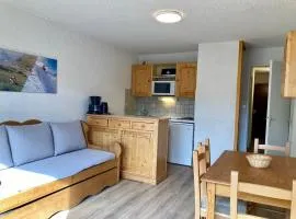 Studio confortable pour 4 pers., animaux admis, proche des pistes - FR-1-811-38