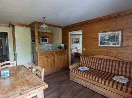 Appartement lumineux 6 pers, au pied des pistes, centre station, animaux admis - FR-1-811-34