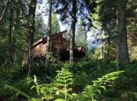 Glentress Forest Cabins - Forest Holidays