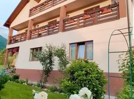 Casa Raul Borșa