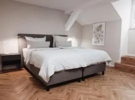 DOM Apartment III - modern & zentral mit kostenfreiem Parkplatz