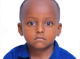 Abdo Mudesir Dawud, hotel poblíž Letiště Bole - ADD, Addis Abeba