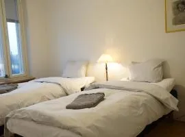 Cozy apartment with view