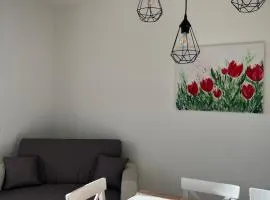 THE TULIP APARTMENT 2 rooms