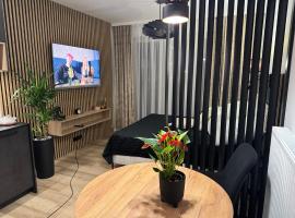 Apartament Zamojskie Echo，扎莫希奇的飯店