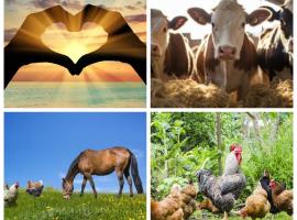 Appartement a la Campagne