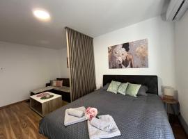 Vlasic Apartmani HANA