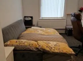 Double Sofabed with well-padded cushion