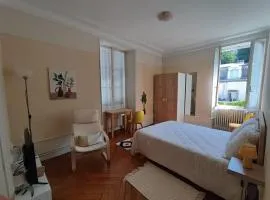 Studio charmant avec kitchenette séparée, animaux acceptés à Aix-les-Bains - FR-1-555-105