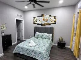 The palm suite