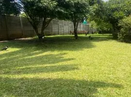 Majestic Marlborough