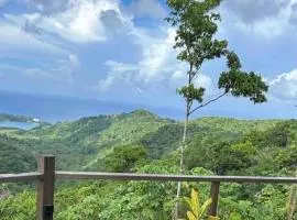 Modern Paradise Stylish Stay with Waterfall & Garden Views