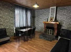 Home in Bakuriani
