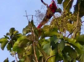 Finca emperatriz