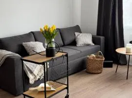 City Center Cozy Apartment